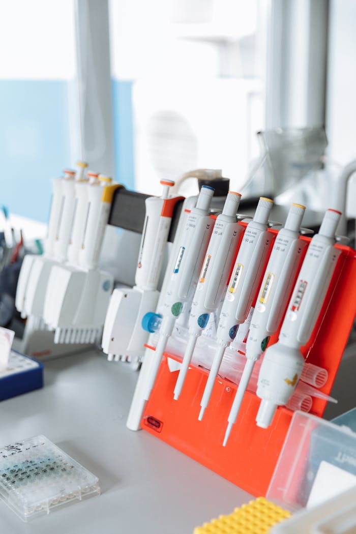 Vibrant pipettes arranged neatly on a lab bench symbolize scientific precision.